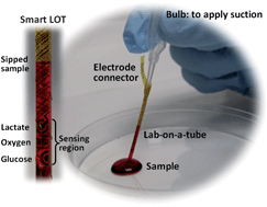 Graphical abstract: Potential of a simple lab-on-a-tube for point-of-care measurements of multiple analytes