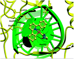 Graphical abstract: Cyclometalated gold(iii) complexes with N-heterocyclic carbene ligands as topoisomerase I poisons