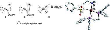 Graphical abstract: Synthesis, characterization and structures of cyclic organorhodium complexes of the type [Rh{CH(SO2Ph)CH2CH2YR2-κC,κY}L2] (YR2 = PPh2, NMe2; L2 = diphosphine, cyclooctadiene)