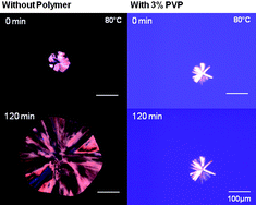 Graphical abstract: Role of polymer chemistry in influencing crystal growth rates from amorphous felodipine