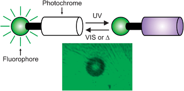 Graphical abstract: Fluorescence patterning in films of a photoswitchable BODIPY–spiropyran dyad
