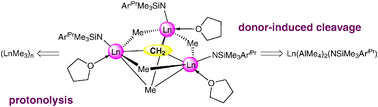 Graphical abstract: Amido-stabilized rare-earth metal mixed methyl methylidene complexes