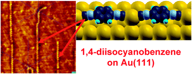Graphical abstract: One-dimensional supramolecular surface structures: 1,4-diisocyanobenzene on Au(111) surfaces