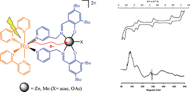 Graphical abstract: Synthesis, electrochemical and photophysical properties of heterodinuclear Ru–Mn and Ru–Zn complexes bearing ambident Schiff base ligand