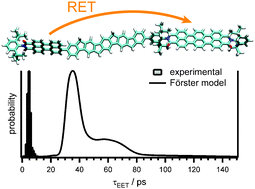 Graphical abstract: Superexchange-mediated electronic energy transfer in a model dyad