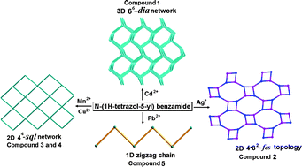 Graphical abstract: Structural variation from 1D to 3D: effect of metal centers on the construction of metal–organic coordination polymers with N-(1H-tetrazol-5-yl)benzamide ligand