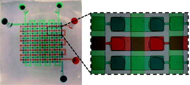 Graphical abstract: Simultaneous fabrication of PDMS through-holes for three-dimensional microfluidic applications