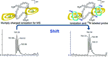Graphical abstract: 15N-Labeled ionic probes for bioanalytical mass spectrometry