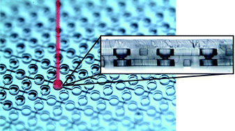 Graphical abstract: Three-dimensional large-scale microfluidic integration by laser ablation of interlayer connections