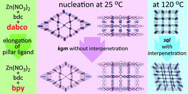 Graphical abstract: Control over the nucleation process determines the framework topology of porous coordination polymers
