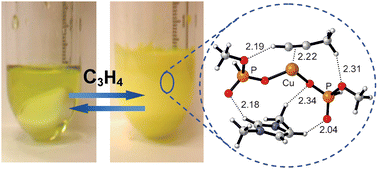 Graphical abstract: Cu(i)-containing room temperature ionic liquids as selective and reversible absorbents for propyne