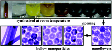 Graphical abstract: A facile approach to PbS nanoflowers and their shape-tunable single crystal hollow nanostructures: Morphology evolution