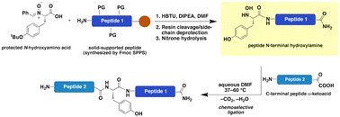 Graphical abstract: Nitrone protecting groups for enantiopure N-hydroxyamino acids: synthesis of N-terminal peptide hydroxylamines for chemoselective ligations