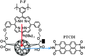 Graphical abstract: Photoinduced electron transfer in thin films of porphyrin–fullerene dyad and perylenetetracarboxidiimide