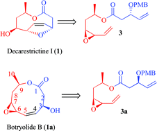 Graphical abstract: Total synthesis of decarestrictine I and botryolide B via RCM protocol