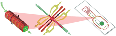 Graphical abstract: A microfluidic platform for probing small artery structure and function