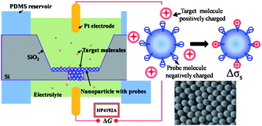 Graphical abstract: Suspended nanoparticle crystal (S-NPC): A nanofluidics-based, electrical read-out biosensor