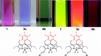 Graphical abstract: Rational design of visible and NIR distyryl-BODIPY dyes from a novel fluorinated platform