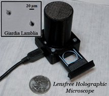 Graphical abstract: Detection of waterborne parasites using field-portable and cost-effective lensfree microscopy