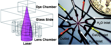 Graphical abstract: Tunable two-dimensional liquid gradient refractive index (L-GRIN) lens for variable light focusing
