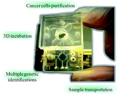 Graphical abstract: Rapid isolation and detection of cancer cells by utilizing integrated microfluidic systems