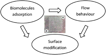 Graphical abstract: Towards proteomics-on-chip: The role of the surface