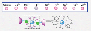 Graphical abstract: Click synthesis of podand triazole-linked gold nanoparticles as highly selective and sensitive colorimetric probes for lead(ii) ions