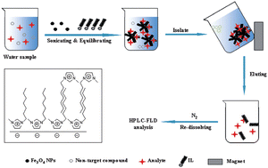 Graphical abstract: Ionic liquid-coated Fe3O4 magnetic nanoparticles as an adsorbent of mixed hemimicelles solid-phase extraction for preconcentration of polycyclic aromatic hydrocarbons in environmental samples