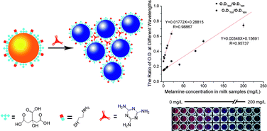 Graphical abstract: Colorimetric detection of melamine in complex matrices based on cysteamine-modified gold nanoparticles