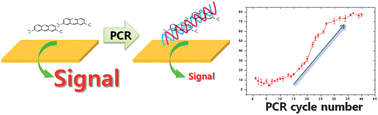 Graphical abstract: Investigation of the signaling mechanism and verification of the performance of an electrochemical real-time PCR system based on the interaction of methylene blue with DNA