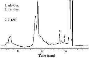 Graphical abstract: Dynamic pH junction–sweeping for on-line focusing of dipeptides in capillary electrophoresis with laser-induced fluorescence detection