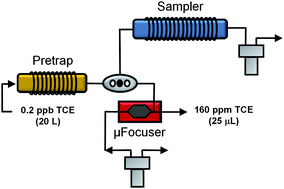 Graphical abstract: Multi-stage preconcentrator/focuser module designed to enable trace level determinations of trichloroethylene in indoor air with a microfabricated gas chromatograph
