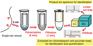 Graphical abstract: Determination of amphetamine-type stimulants, cocaine and ketamine in human hair by liquid chromatography/linear ion trap–Orbitrap hybrid mass spectrometry