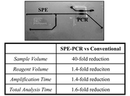 Graphical abstract: A valveless microfluidic device for integrated solid phase extraction and polymerase chain reaction for short tandem repeat (STR) analysis