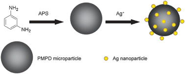 Graphical abstract: Preparation of Ag nanoparticle-decorated poly(m-phenylenediamine) microparticles and their application for hydrogen peroxide detection