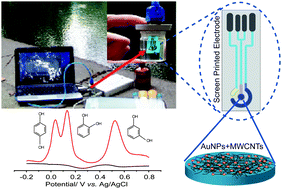 Graphical abstract: Simultaneous determination of dihydroxybenzene isomers using disposable screen-printed electrode modified by multiwalled carbon nanotubes and gold nanoparticles