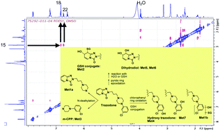 Graphical abstract: Rapid structure determination of microgram-level drug metabolites using HPLC-MS, fraction collection and NMR spectroscopy