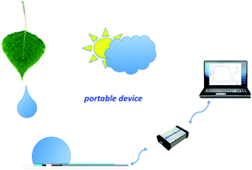 Graphical abstract: Using a portable device based on a screen-printed sensor modified with a molecularly imprinted polymer for the determination of the insecticide fenitrothion in forest samples