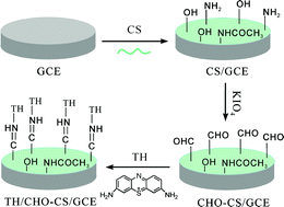 Graphical abstract: A novel sensing platform based on periodate-oxidized chitosan