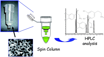 Graphical abstract: Extraction of catecholamines from urine using a monolithic silica disk-packed spin column and high-performance liquid chromatography-electrochemical detection