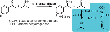 Graphical abstract: Transaminations with isopropyl amine: equilibrium displacement with yeast alcohol dehydrogenase coupled to in situ cofactor regeneration
