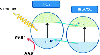 Graphical abstract: Sunlight highly photoactive Bi2WO6–TiO2 heterostructures for rhodamine B degradation