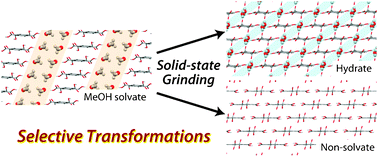 Graphical abstract: Selective transformation pathways between crystalline forms of an organic material established from powder X-ray diffraction analysis