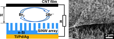 Graphical abstract: Efficient energy conversion of nanotube/nanowire-based solar cells