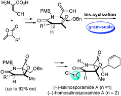 Graphical abstract: A1,3-strain enabled retention of chirality during bis-cyclization of β-ketoamides: total synthesis of (−)-salinosporamide A and (−)-homosalinosporamide A