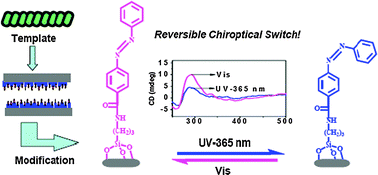 Graphical abstract: Creating chirality in the inner walls of silica nanotubes through a hydrogel template: chiral transcription and chiroptical switch