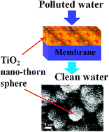 Graphical abstract: Hierarchically multifunctional TiO2 nano-thorn membrane for water purification