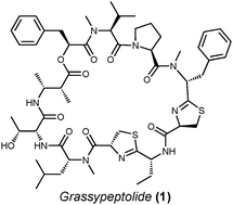 Graphical abstract: Total synthesis of grassypeptolide
