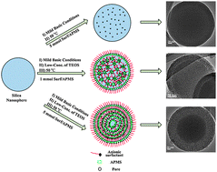 Graphical abstract: Synthesis of double mesoporous core–shell silica nanospheres with radially oriented mesopores via one-templating step using anionic surfactant