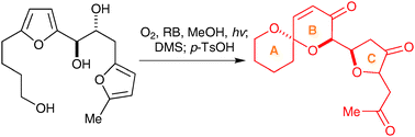 Graphical abstract: Singlet oxygen initiated cascade transformation of a simple difuran into the key ABC-ring motif of the pectenotoxins